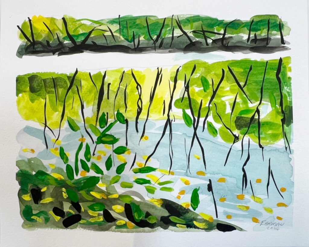 2026 Estuary Study 1