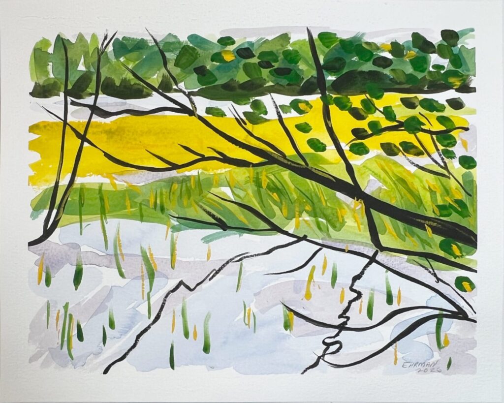 2026 Estuary Study 5