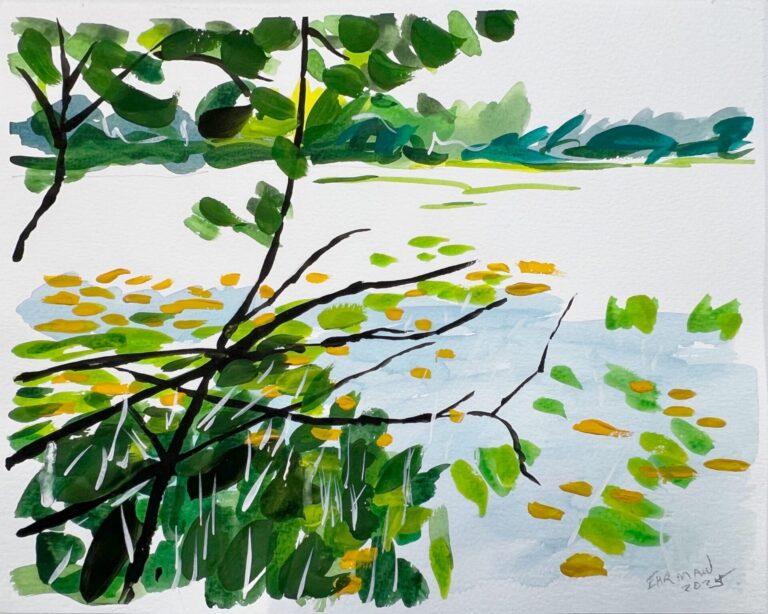 Estuary Study 10