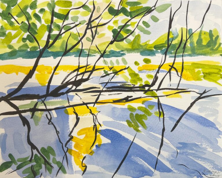 Estuary Study 11