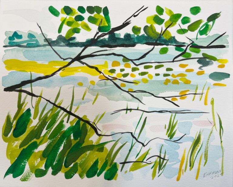 Estuary Study 7