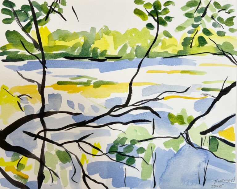 Estuary Study 8